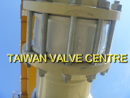 check valve